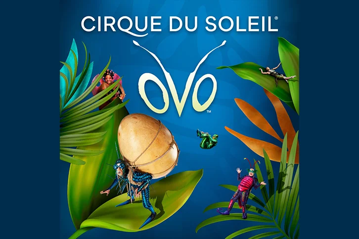Cirque-du-Soleil-RAnNIb.tmp_