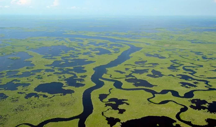 Everglades National Park cc NPS Marjory Stoneman Douglas 696×409