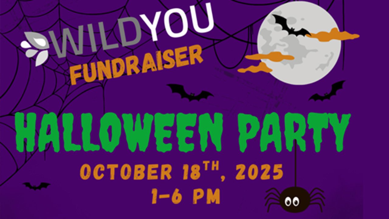 Halloween-Party-JRbFuy