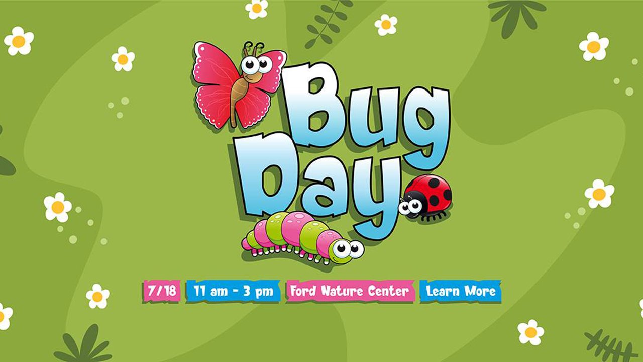 Bug-Day-LBPOKJ