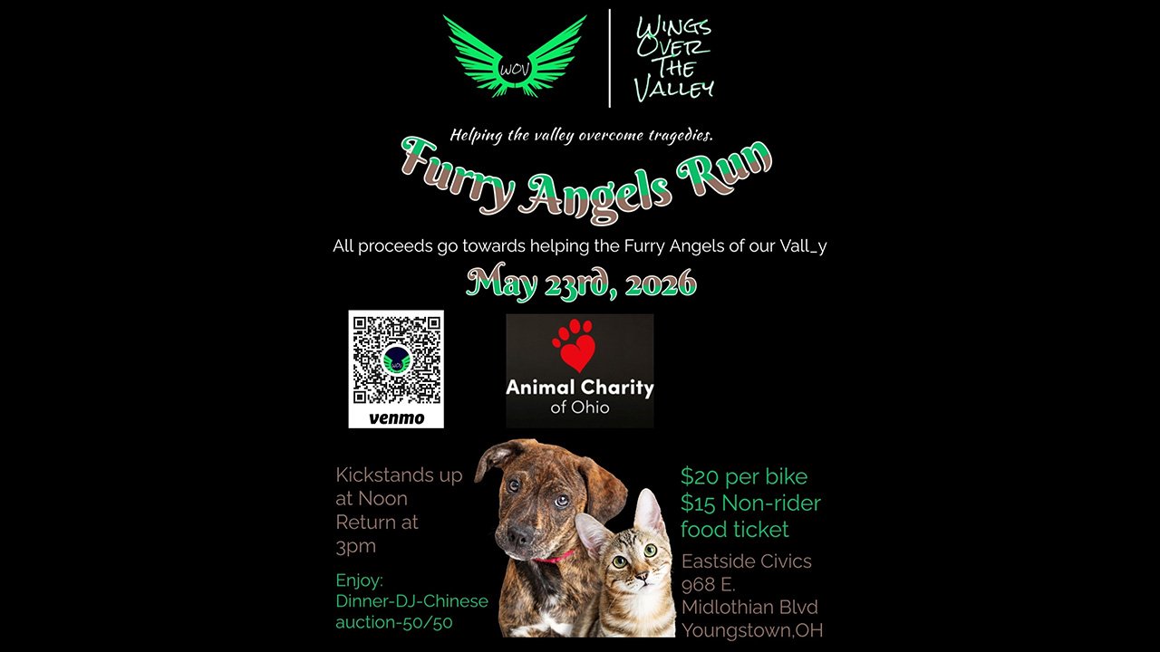 Furry-Angels-Run-Jo2yBU