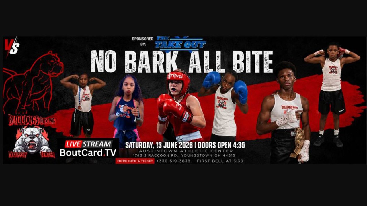 No-Bark-All-Bite-akAwZN