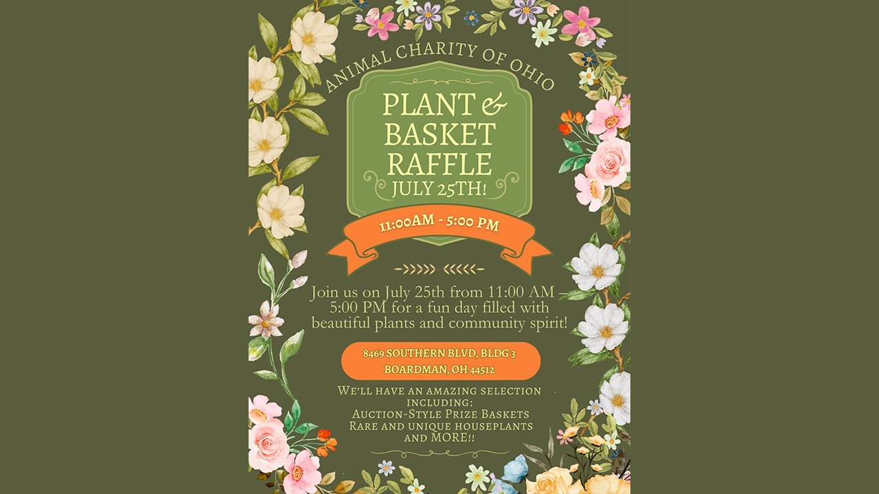 Plant-and-Basket-Raffle-FGkKBq
