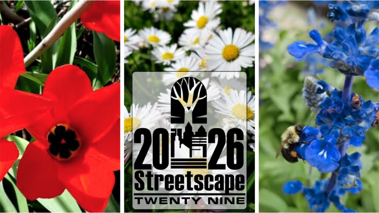 Streetscape-hnzWLK
