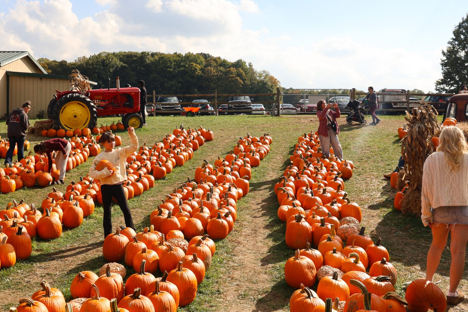 WHFF-Harvest-Weekends-scaled-6XJfcV