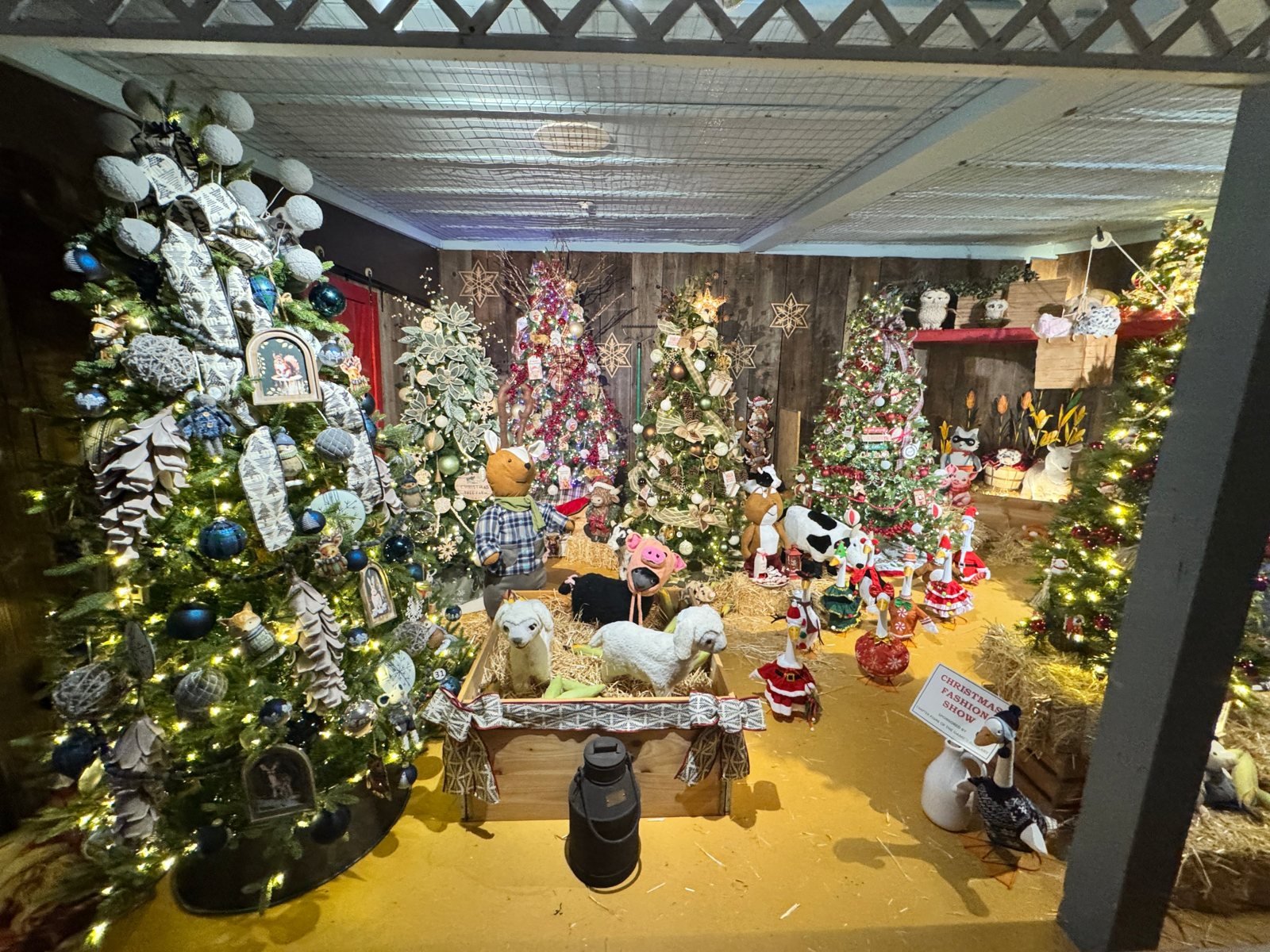 Barnyard animals and geese in holiday outfits at a Christmas fashion show