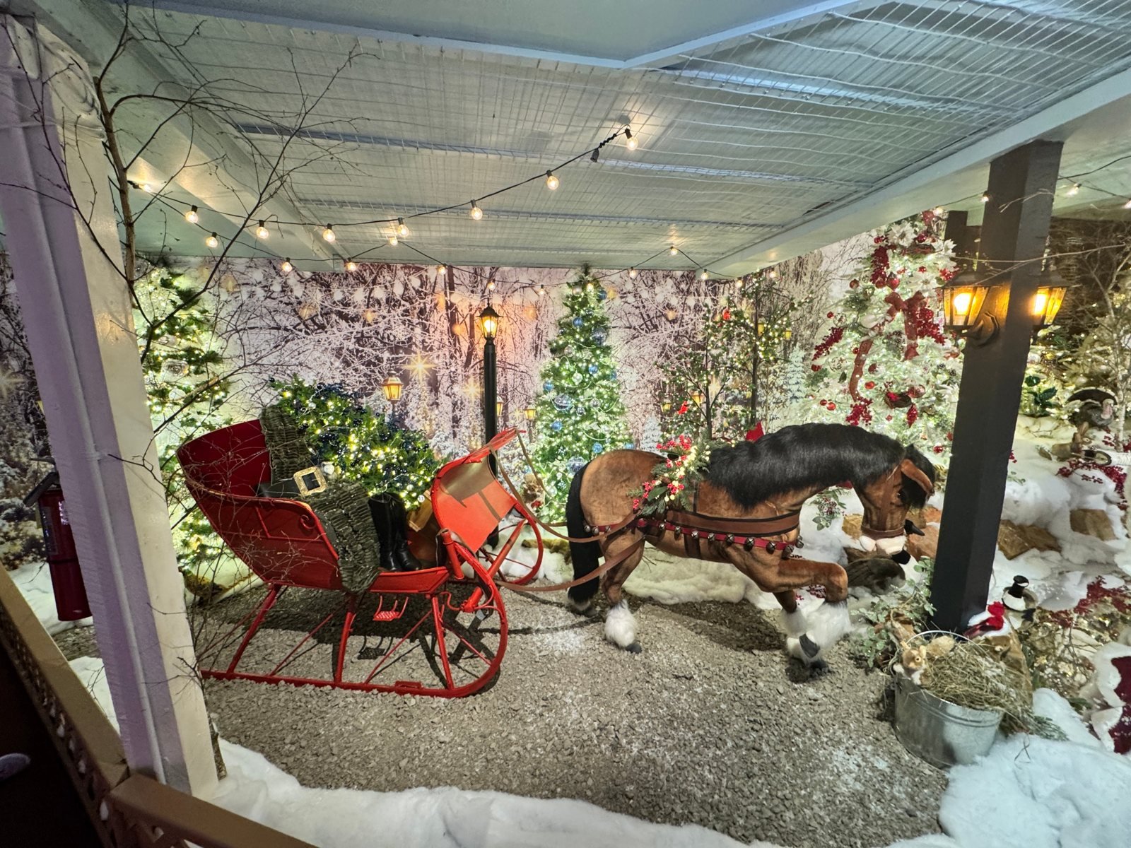 A red sleigh and harnessed horse in a snowy woodland scene at Kraynak’s Christmasland