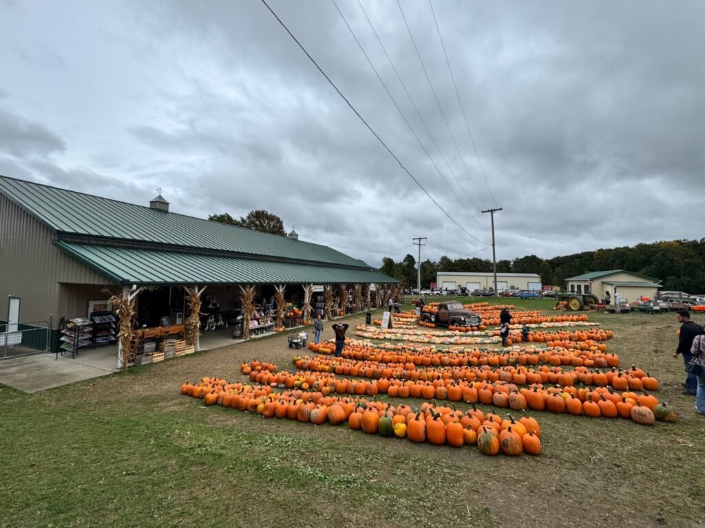 Rows of orange pumpkins in front of the gift barn at White House Fruit Farm